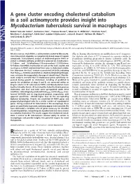 A Gene Cluster Encoding Cholesterol Catabolism in a Soil Actinomycete Provides Insight Into Mycobacterium Tuberculosis Survival in Macrophages