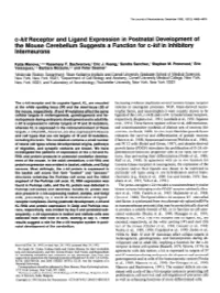 C-Kit Receptor and Ligand Expression in Postnatal Development of the Mouse Cerebellum Suggests a Function for C-Kif in Inhibitory Interneurons
