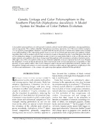 Genetic Linkage and Color Polymorphism in the Southern Platyfish (Xiphophorus Maculatus): a Model System for Studies of Color Pattern Evolution