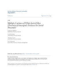 Multiple Captures of White-Footed Mice (Peromyscus Leucopus): Evidence for Social Structure? George A
