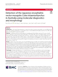 Detection of the Japanese Encephalitis Vector Mosquito Culex Tritaeniorhynchus in Australia Using Molecular Diagnostics and Morphology Bryan D