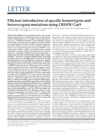 Efficient Introduction of Specific Homozygous and Heterozygous