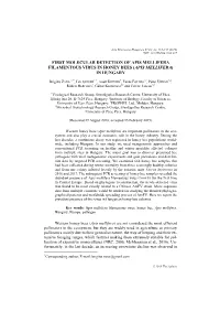 First Molecular Detection of Apis Mellifera Filamentous Virus in Honey Bees (Apis Mellifera) in Hungary