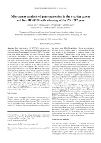 Microarray Analysis of Gene Expression in the Ovarian Cancer Cell Line HO-8910 with Silencing of the ZNF217 Gene