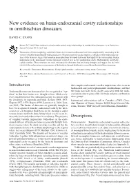 New Evidence on Brain-Endocranial Cavity Relationships in Ornithischian