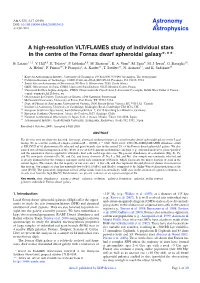 A High-Resolution VLT/FLAMES Study of Individual Stars in the Centre of the Fornax Dwarf Spheroidal Galaxy�,