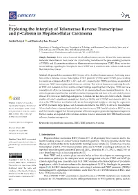 Exploring the Interplay of Telomerase Reverse Transcriptase and Β-Catenin in Hepatocellular Carcinoma