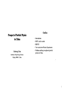 Prospect of Particle Physics in China