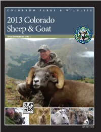 2013 SHEEPGOAT.Indd