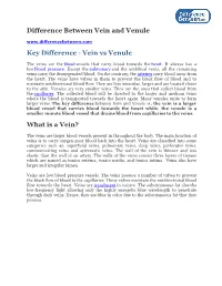 Difference Between Vein and Venule Key Difference - Vein Vs Venule