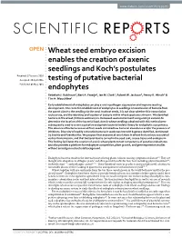 Wheat Seed Embryo Excision Enables the Creation Of