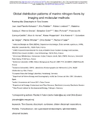 Global Distribution Patterns of Marine Nitrogen-Fixers by Imaging and Molecular Methods Running Title: Diazotrophs in Tara Oceans