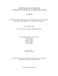 Sulfite Reductase and Thioredoxin in Oxidative Stress Responses of Methanogenic Archaea