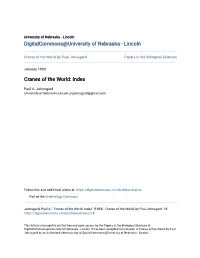 Cranes of the World: Index