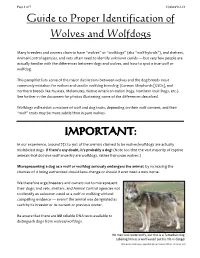 Guide to Proper Identification of Wolves and Wolfdogs