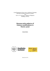 Thesis for Word XP