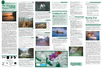 ACE Basin Project Brochure