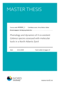 Calanus Species Assessed with Molecular Tools in a North Atlantic Fjord