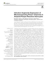 Infection Augments Expression of Mechanosensing Piezo1 Channels in Amyloid Plaque-Reactive Astrocytes