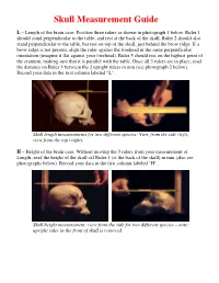 AP Skull Measurement Guide, Laminate