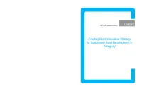Creating Rural Innovative Strategy for Sustainable Rural Development in Paraguay