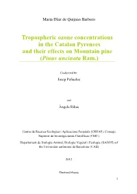 Tropospheric Ozone Concentrations in the Catalan Pyrenees and Their Effects on Mountain Pine (Pinus Uncinata Ram.)