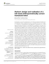 Design and Realization of a Full-Sized Anthropometrically Correct Humanoid Robot