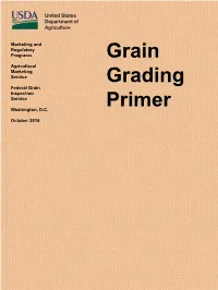 Grain Grading Primer