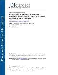 Identification of Bip As a CB1 Receptor-Interacting Protein That Fine