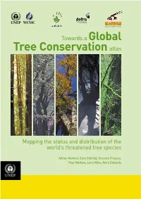 Towards a Global Tree Conservation Atlas
