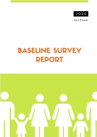 BASELINE SURVEY REPORT Table of Contents