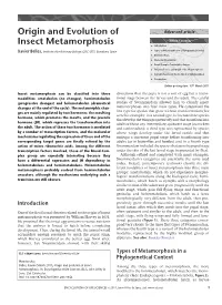 "Origin and Evolution of Insect Metamorphosis". In: Encyclopedia