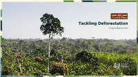 Tackling Deforestation Progress Report 2020 Contents