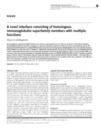 A Novel Interface Consisting of Homologous Immunoglobulin Superfamily Members with Multiple Functions