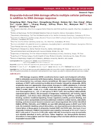 Get.Com Oncotarget, 2018, Vol