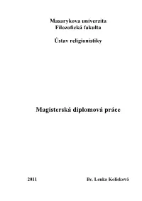 Magisterská Diplomová Práce