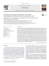Mechanisms of Hemispheric Lateralization: Asymmetric Interhemispheric Recruitment in the Face Perception Network