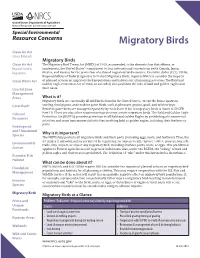 Migratory Birds