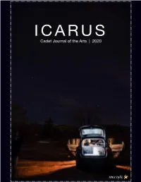 View Icarus 2020