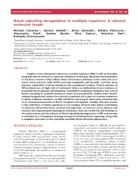 Notch Signaling Deregulation in Multiple Myeloma: a Rational Molecular Target