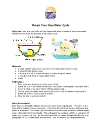 Create Your Own Water Cycle
