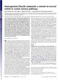 Homeoprotein Phox2b Commands a Somatic-To-Visceral Switch in Cranial Sensory Pathways