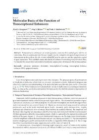Molecular Basis of the Function of Transcriptional Enhancers