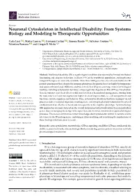 Neuronal Cytoskeleton in Intellectual Disability: from Systems Biology and Modeling to Therapeutic Opportunities
