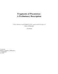Fragments of Piscataway: a Preliminary Description
