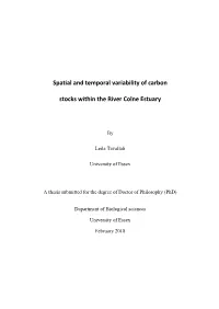 Spatial and Temporal Variability of Carbon Stocks Within the River