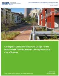 Conceptual Green Infrastructure Design for the Blake Street Transit