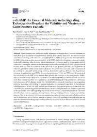 C-Di-AMP: an Essential Molecule in the Signaling Pathways That Regulate the Viability and Virulence of Gram-Positive Bacteria