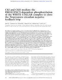CKI and CKII Mediate the FREQUENCY-Dependent Phosphorylation of the WHITE COLLAR Complex to Close the Neurospora Circadian Negative Feedback Loop