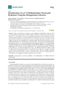 Identification of a 2-O-Methyluridine Nucleoside Hydrolase Using the Metagenomic Libraries